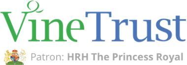 Vine Trust Logo